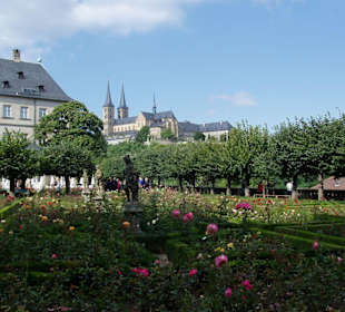 Blick über den Rosengarten
