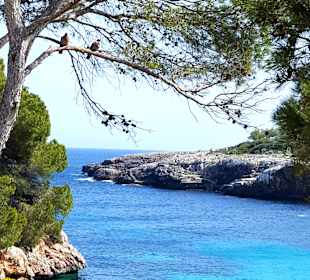 Strand Cala d'Or