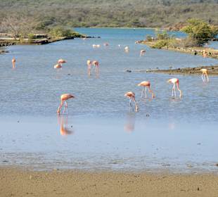 Blick über die Saline Sint Marie