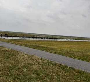 Seehundaufzuchtstation Friedrichskoog