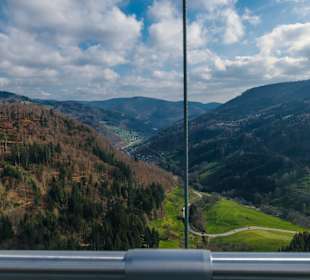 Ausblick