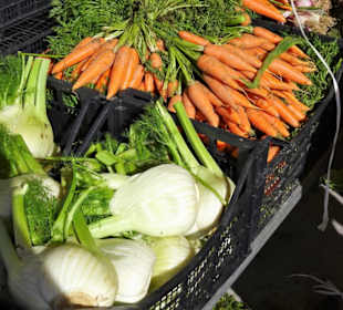 Rundgang über den Wochenmarkt Nuoro