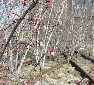 High Line - Impressionen