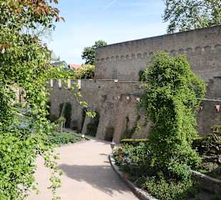 Bei der Kurfürstlichen Burg von Eltville