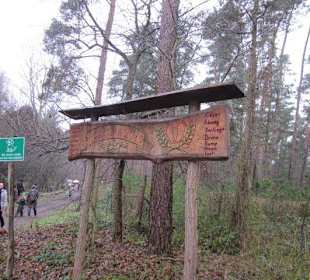 Waldbasar in Dudenhofen