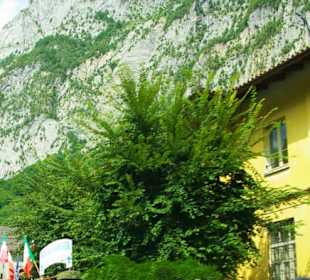 Ital. Seite Das Museum