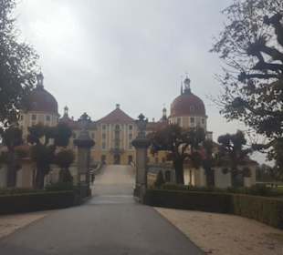 Ansicht Schloss Moritzburg vom Park