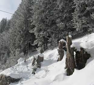 In forest near Murren