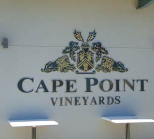 Cape Point Vineyards in Noordhoek
