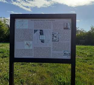 Römischer Vicus Eisenberg in Eisenberg (Pfalz)