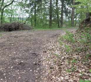 Premiumwanderweg Hochgebürzelt