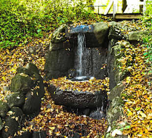 Парк Замка Ойтин.Золотая осень.