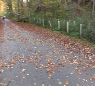 Wanderparkplatz Bachhalde Öschingen