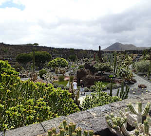 Im Garten Jardin de Cactus