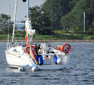 Impressionen von der Förderundfahrt M/S Viking