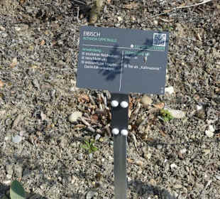 Erläuterungen der Kräuter