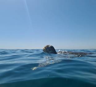 Schnorcheln Abu Soma