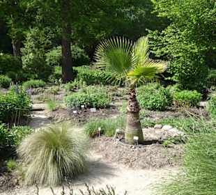 Spaziergang durch den Botanischen Garten Bremen