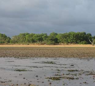 Die Insel