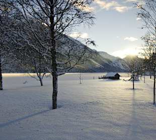 Plansee