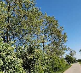 Der Fahrrad-/Wanderweg