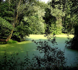 Impressionen aus dem Park Links der Weser