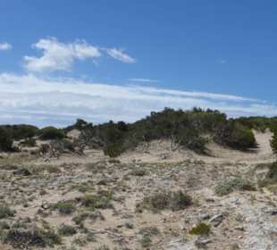 Unterwegs im Naturschutzgebiet Dunes de Son Real