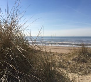 Noordwijk Dunes