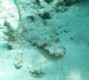 Hotel Prima Life Makadi Bay