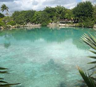 100.Lagune im Naturpark 'Chankanaab' in Cozumel