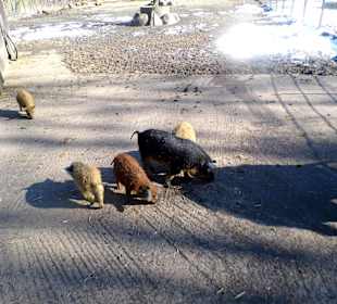 ImpressionOstern2013