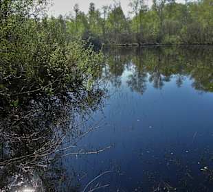 Impressionen aus der Gellener Torfmöörte