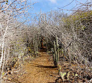 Spaziergang durch den Hòfi Pastor Park