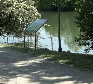 Stadtgarten