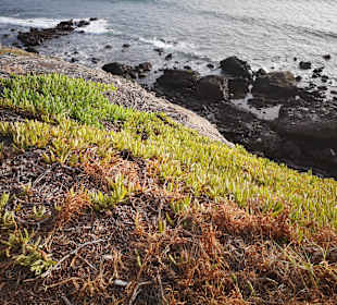 Abhang zum Meer