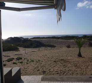 Blick vom Annexo auf die Dünen