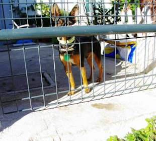 Ich passe gut auf...