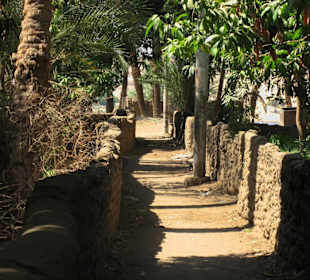 Rundgang auf Elephantine