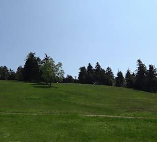 Wandergebiet Ruhestein