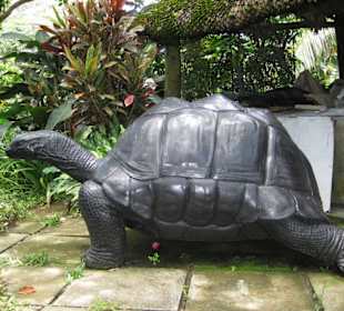 Mahé, Tom Bowers Sculpture Studio
