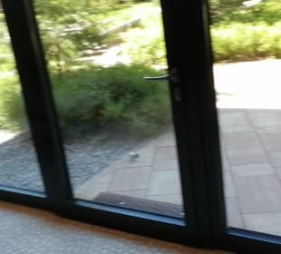 Spa Deep Nature - Park Allgäu