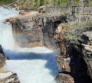....das Geräusch der Gicht-nicht darstellbar