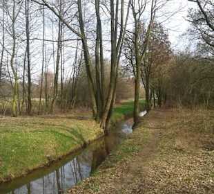 Naturschutzgebiet