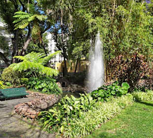 Impressionen aus dem Stadtpark von Funchal
