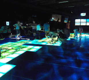 Te Papa Museum Wellington