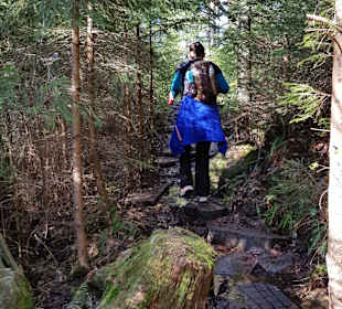 Wandern Freudenstadt