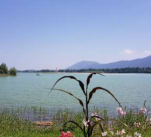Forggensee