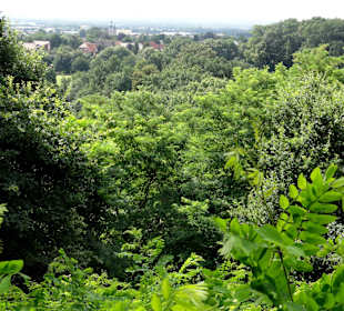 Blick vom See auf die Stadt Damme