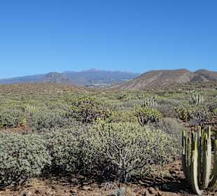 Naturpark Montana de Guaza