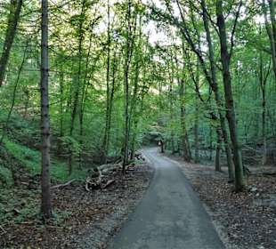 Wanderung durch die Wälder des Kapuzinerberges